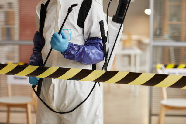 Professional Sewage Cleanup technician working in Hendersonville, NC